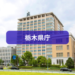 栃木県庁を紹介したイメージ画像