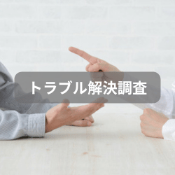 トラブル解決調査のサービスページへ
