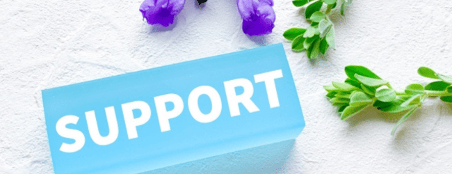 SUPPORTと書かれたブロックのと鼻を組み合わせた画像。いじめの影響を和らげるための支援やサポートを表すイメージ画像